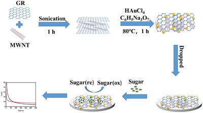 Enzyme-Free Electrochemical Sensors for in situ Quantification of Reducing Sugars Based on Carboxylated Graphene–Carboxylated Multiwalled Carbon Nanotubes–Gold Nanoparticle–Modified Electrode